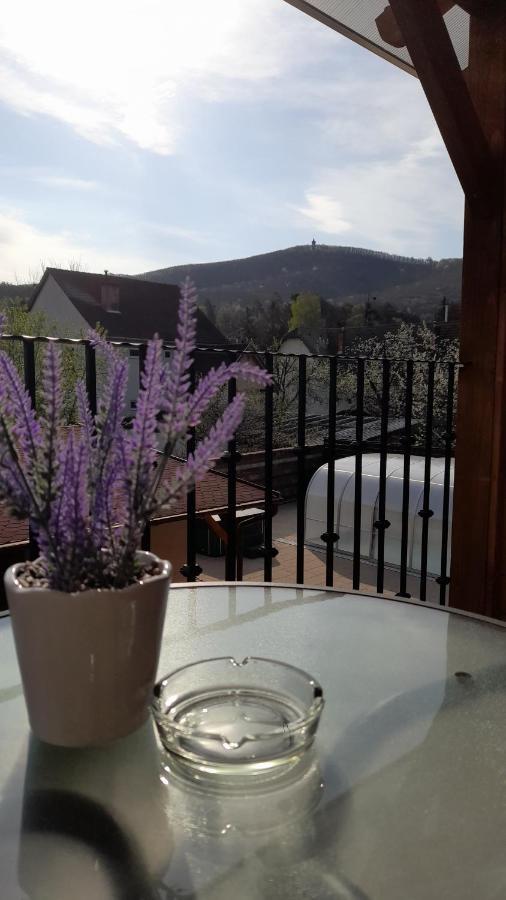 Kincsem Vendeghaz Hotel Szilvásvárad Buitenkant foto